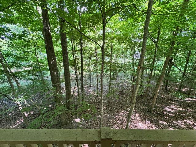 1 Mowatt Road North Branch, MI 48461 - Photo 12 of 23