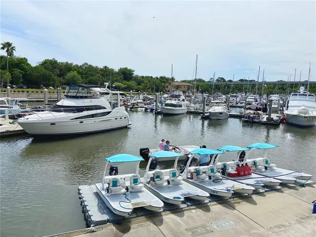 a view of a lake with boats and palm trees