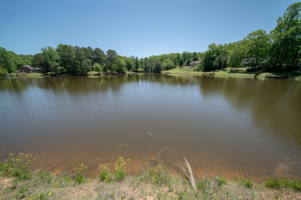 89 Cove Hollow Road Fortson, GA 31808 - Photo 59 of 59 Gallery Image 59