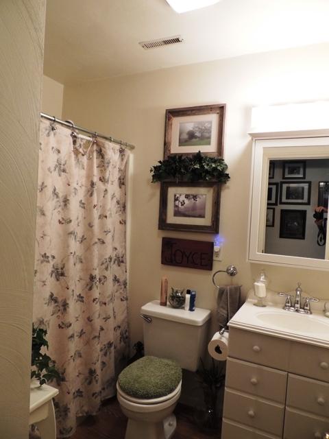 442 Mt Airy Road Hardy, VA 24101 - Photo 26 of 28 Hall Bath