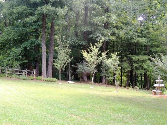 442 Mt Airy Road Hardy, VA 24101 - Photo 10 of 28 Backyard01