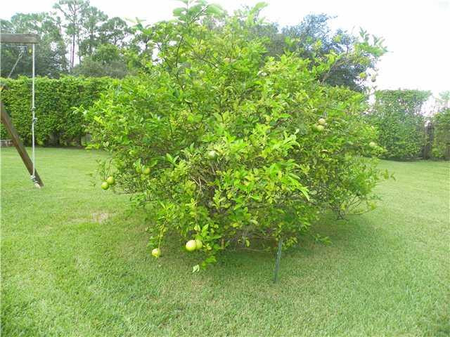 22127 Woodset Way Boca Raton, FL 33428 - Photo 20 of 22 Other