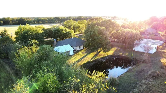 a view of a trees in front of a big yard with large tree