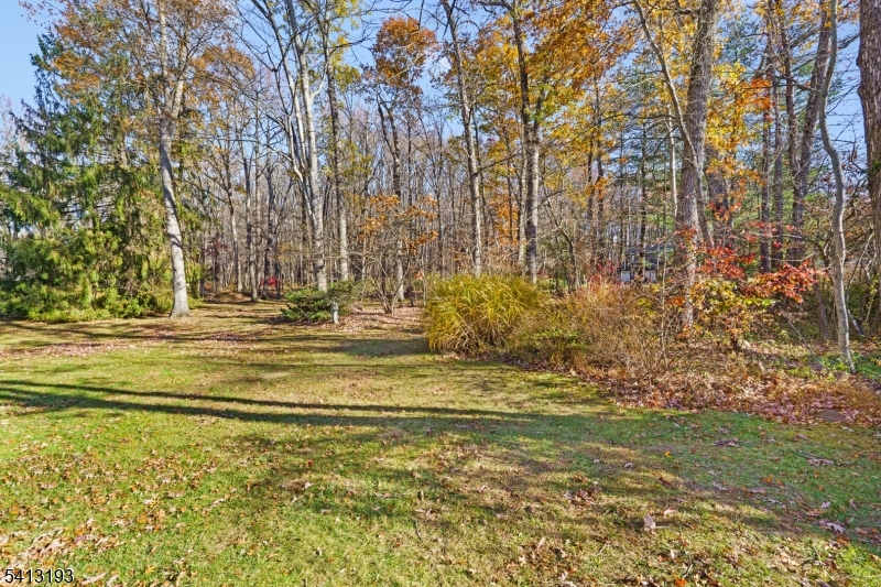 134 Rutgers Avenue Berkeley Heights, NJ 07922 - Photo 34 of 45