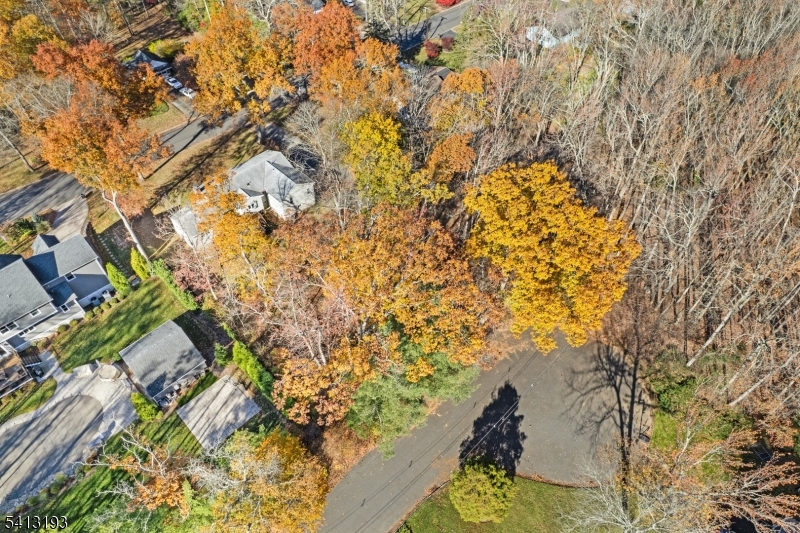 134 Rutgers Avenue Berkeley Heights, NJ 07922 - Photo 41 of 45