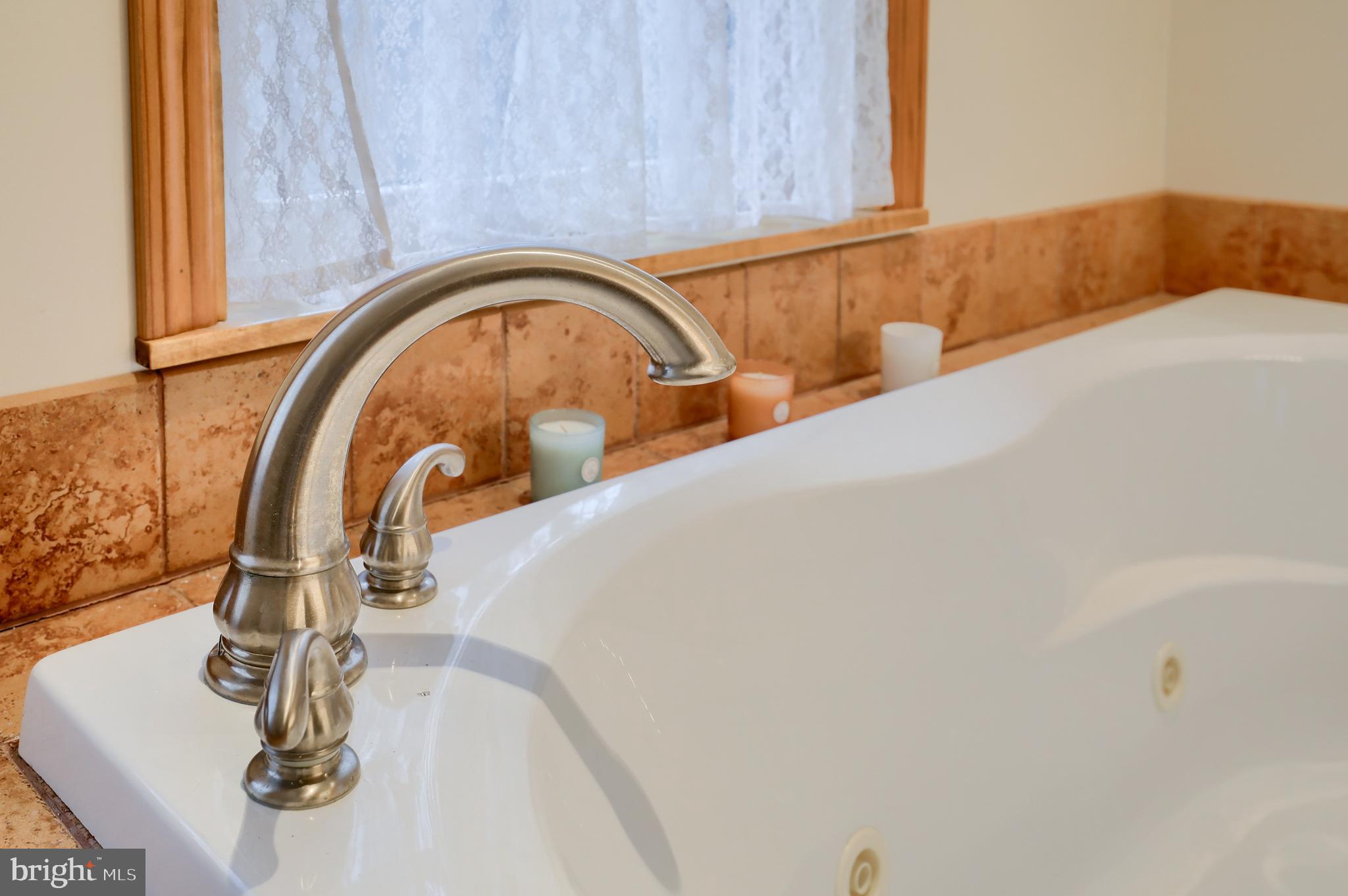 675 North Ridge Road Reinholds, PA 17569 - Photo 30 of 38 jetted tub with heater