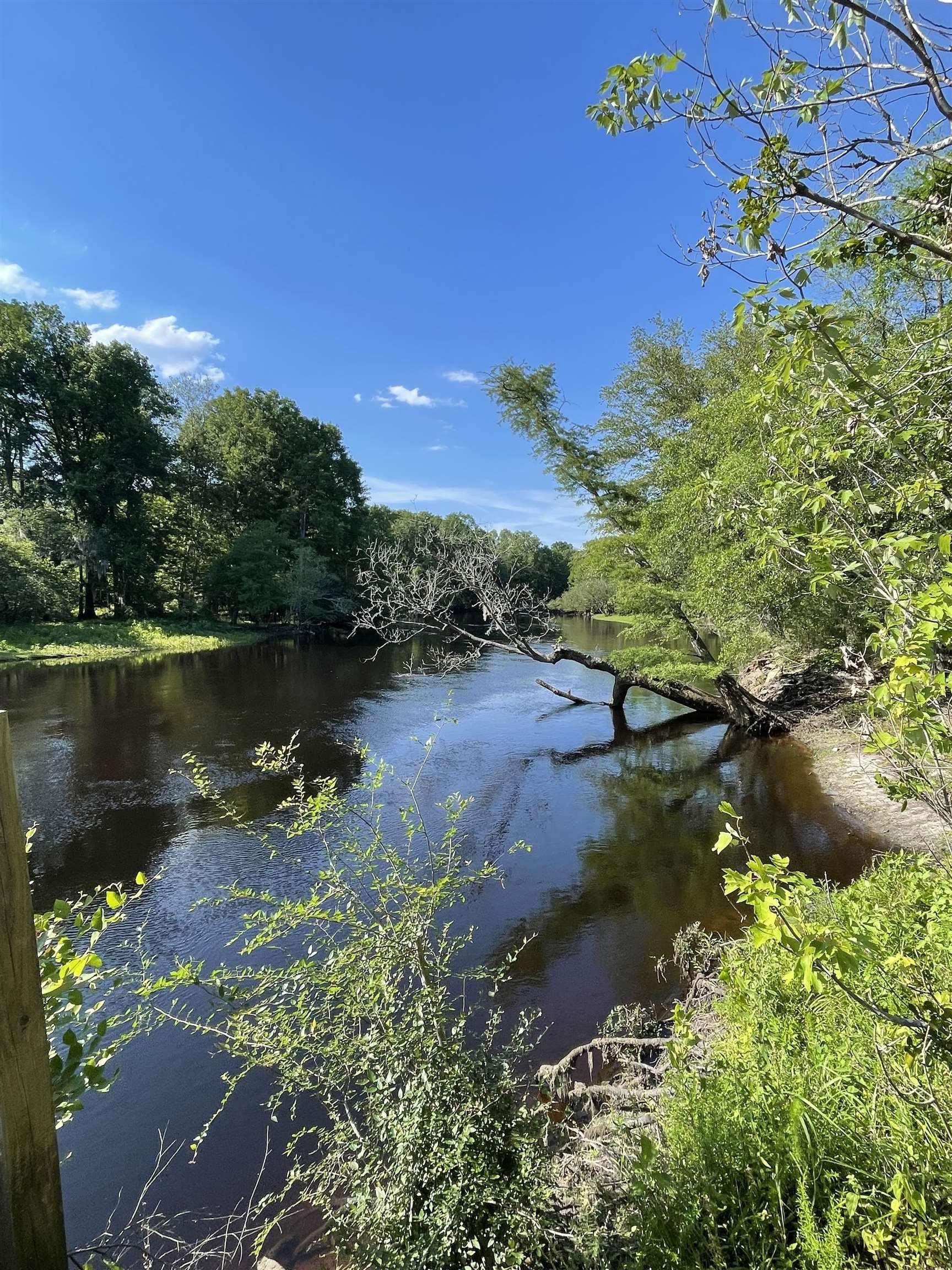 10358 Constitution Drive Nichols, SC 29581 - Photo 20 of 28