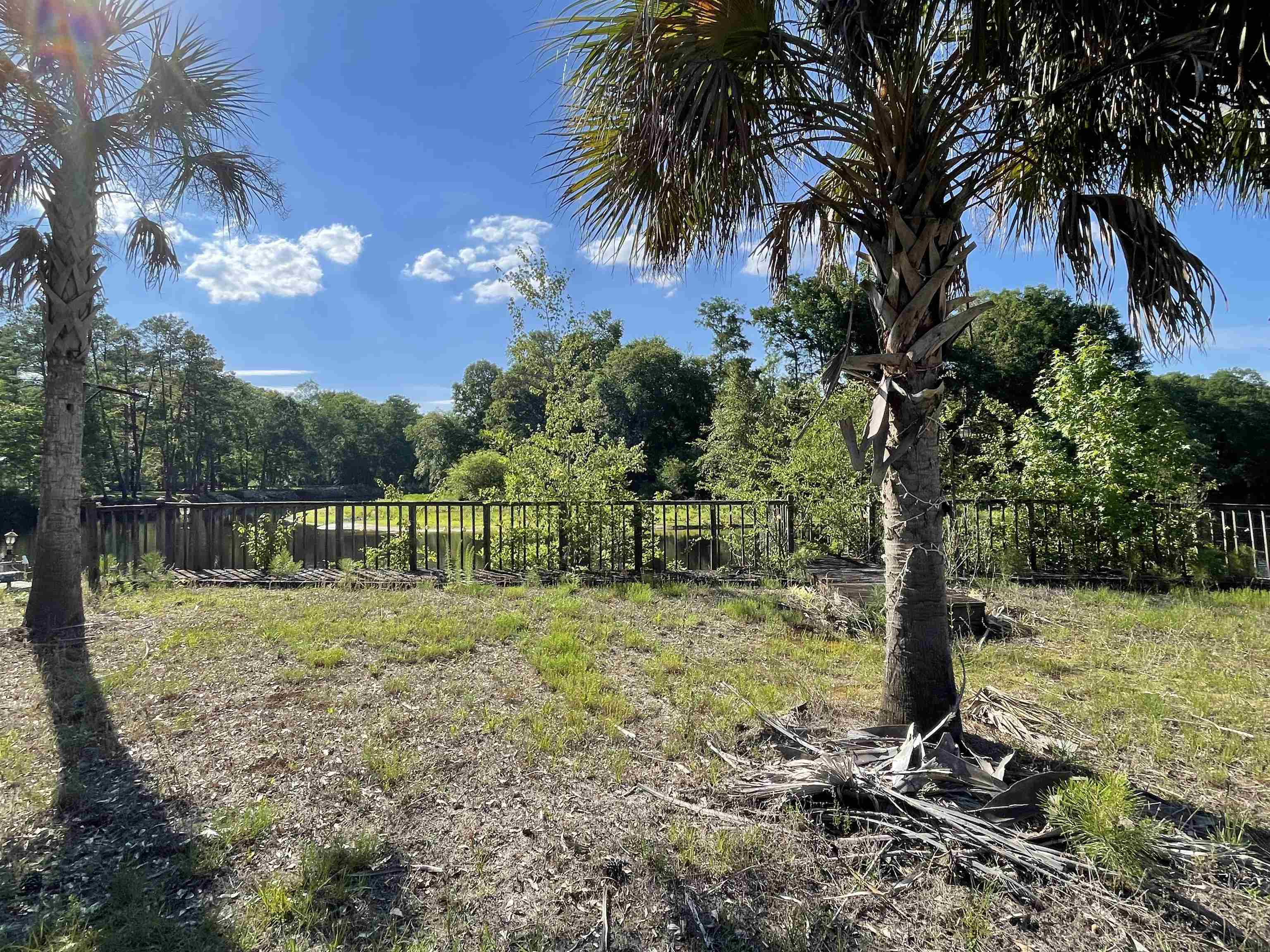 10358 Constitution Drive Nichols, SC 29581 - Photo 22 of 28