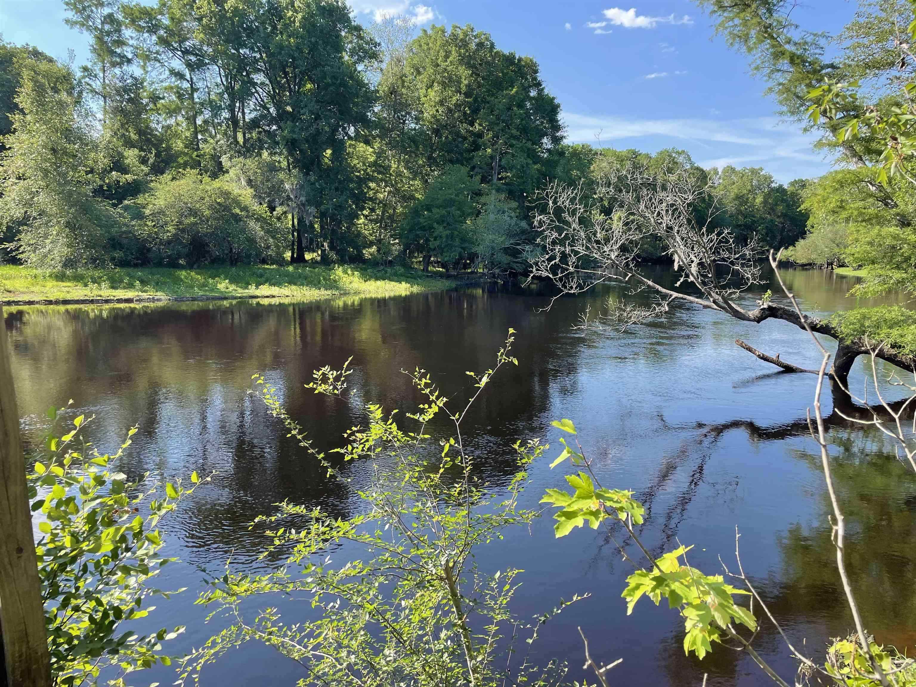10358 Constitution Drive Nichols, SC 29581 - Photo 3 of 28