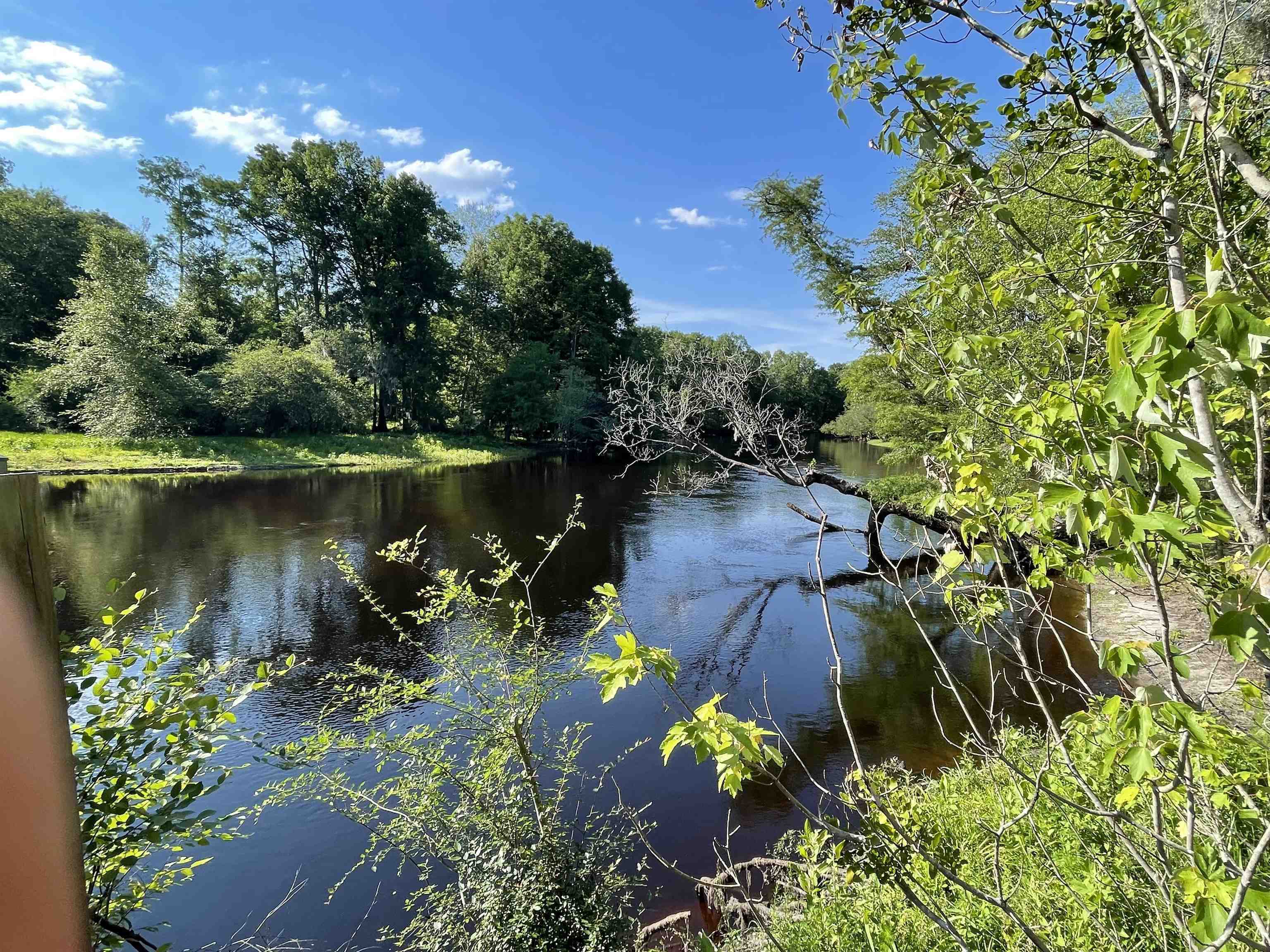 10358 Constitution Drive Nichols, SC 29581 - Photo 7 of 28