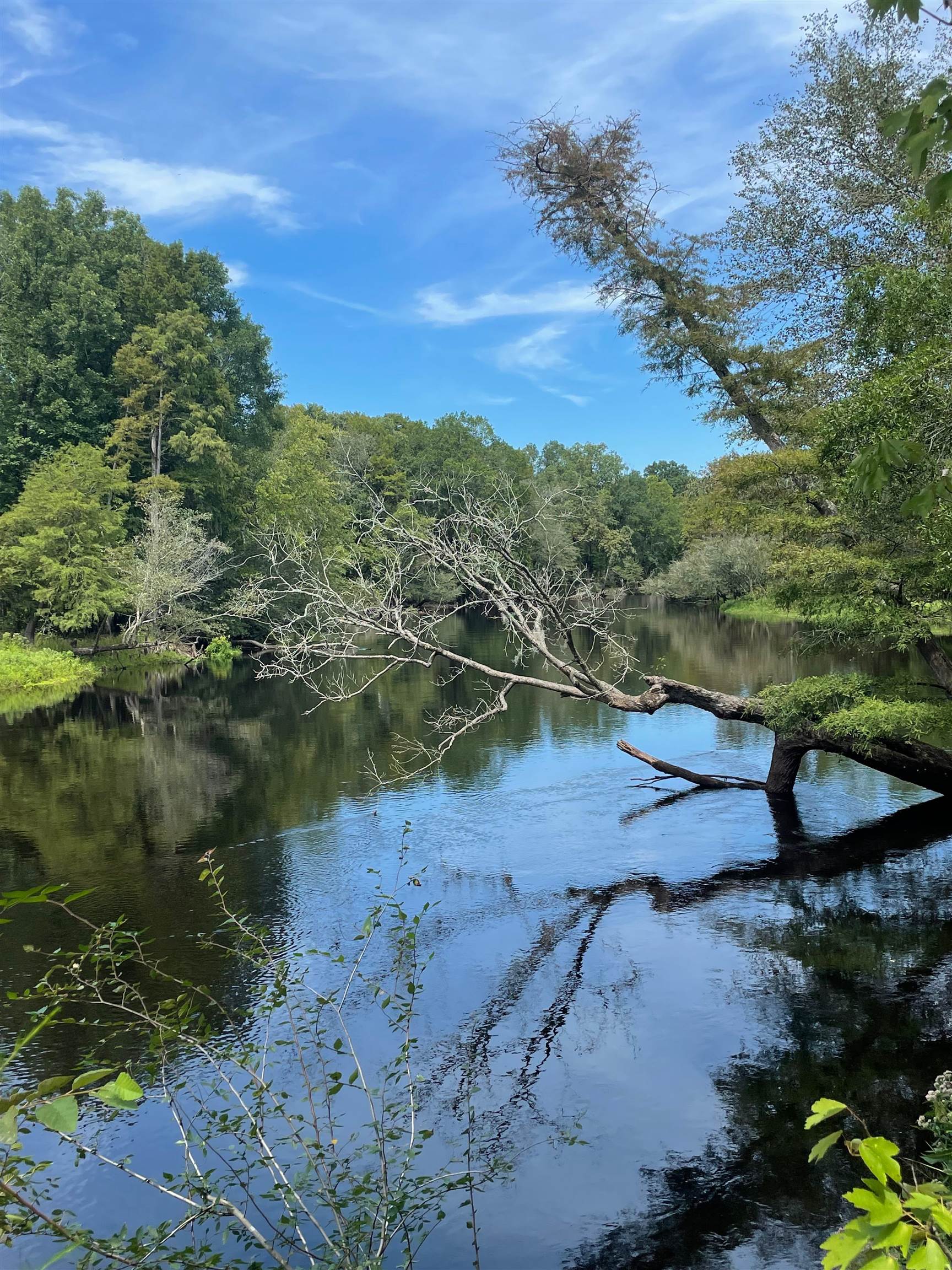 10358 Constitution Drive Nichols, SC 29581 - Photo 10 of 28