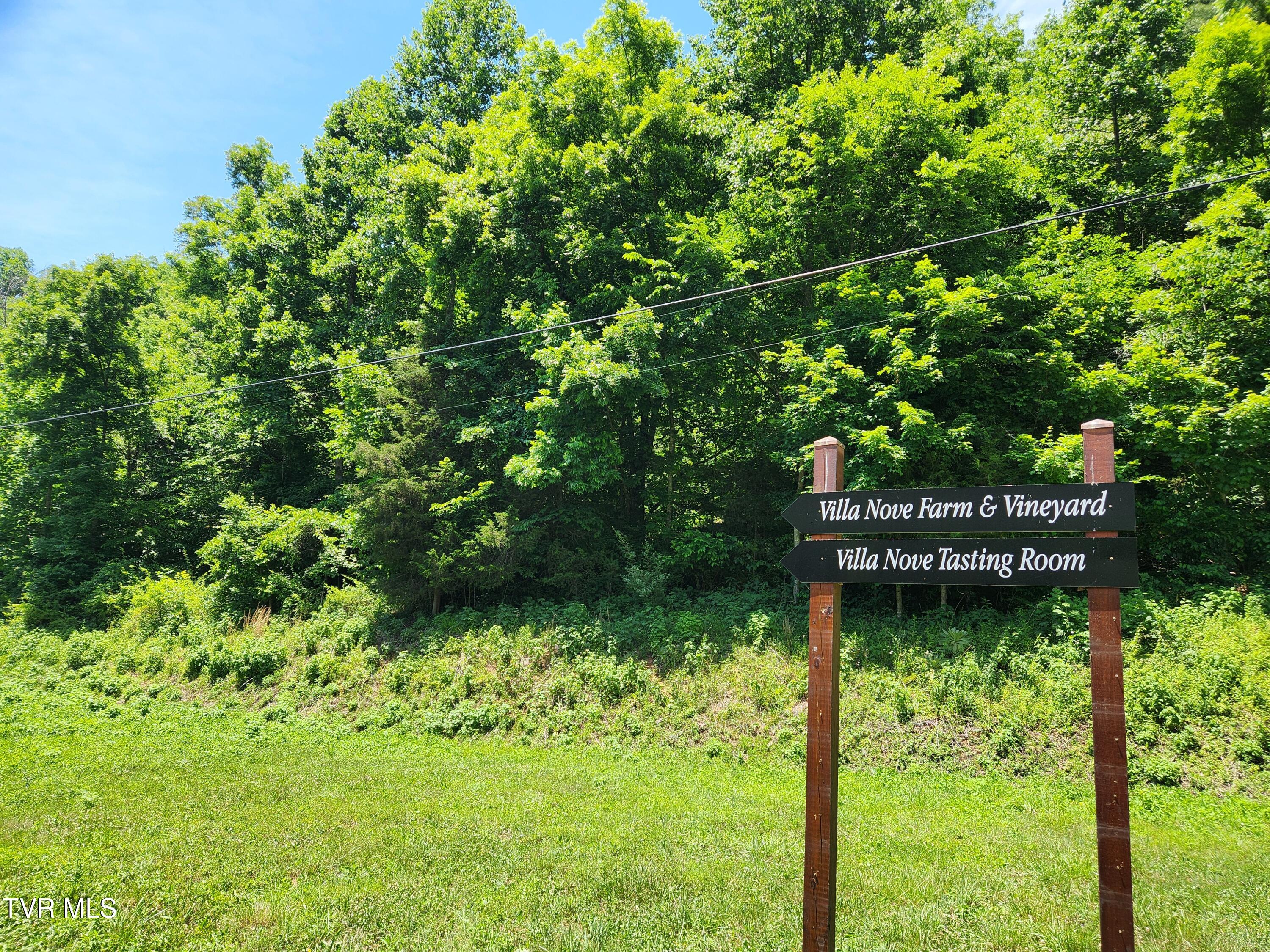 Lot 40 Cowan Town Road, Unit 40 Butler, TN 37640 - Photo 72 of 117 20260606_140951