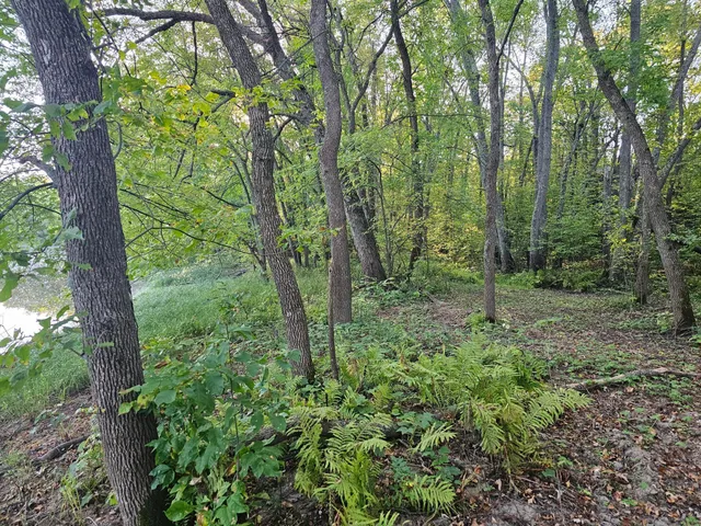 $139,900 | Lot 5-blk Acres County Road 30, Crosby, MN 56441