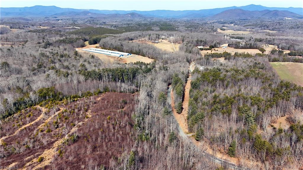 0 Fisher Valley Road Dobson, NC 27017 - Photo 4 of 11