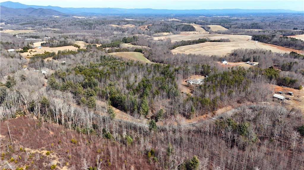 0 Fisher Valley Road Dobson, NC 27017 - Photo 8 of 11