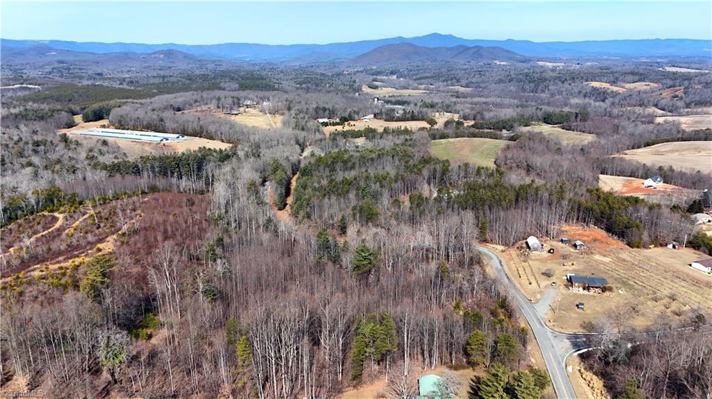 0 Fisher Valley Road Dobson, NC 27017 - Photo 9 of 11