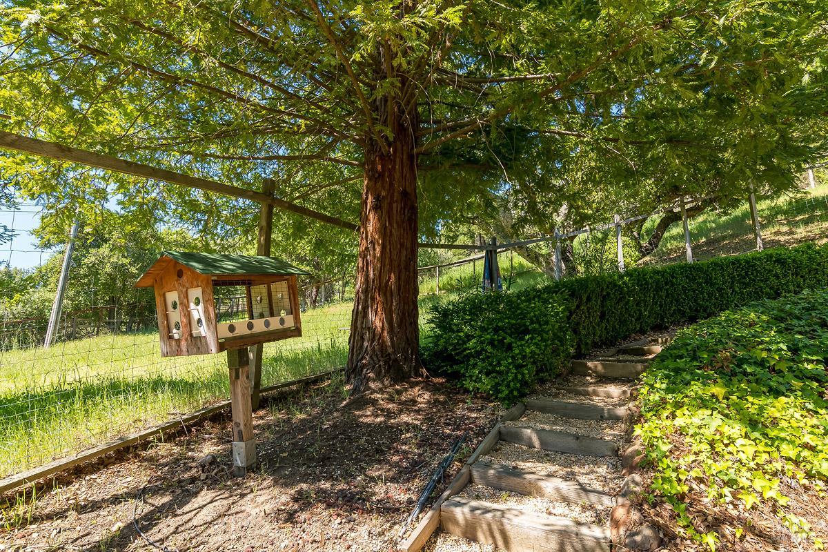 2554 Vineyard Road Novato, CA 94947 - Photo 48 of 67