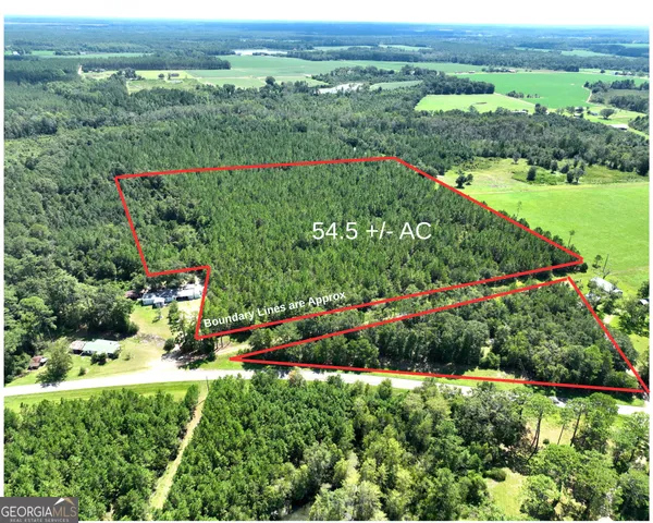 a view of a lush green field