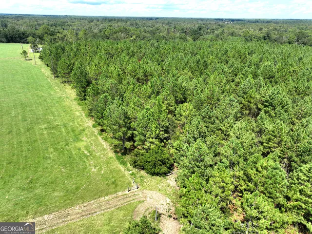 a view of a yard with a tree