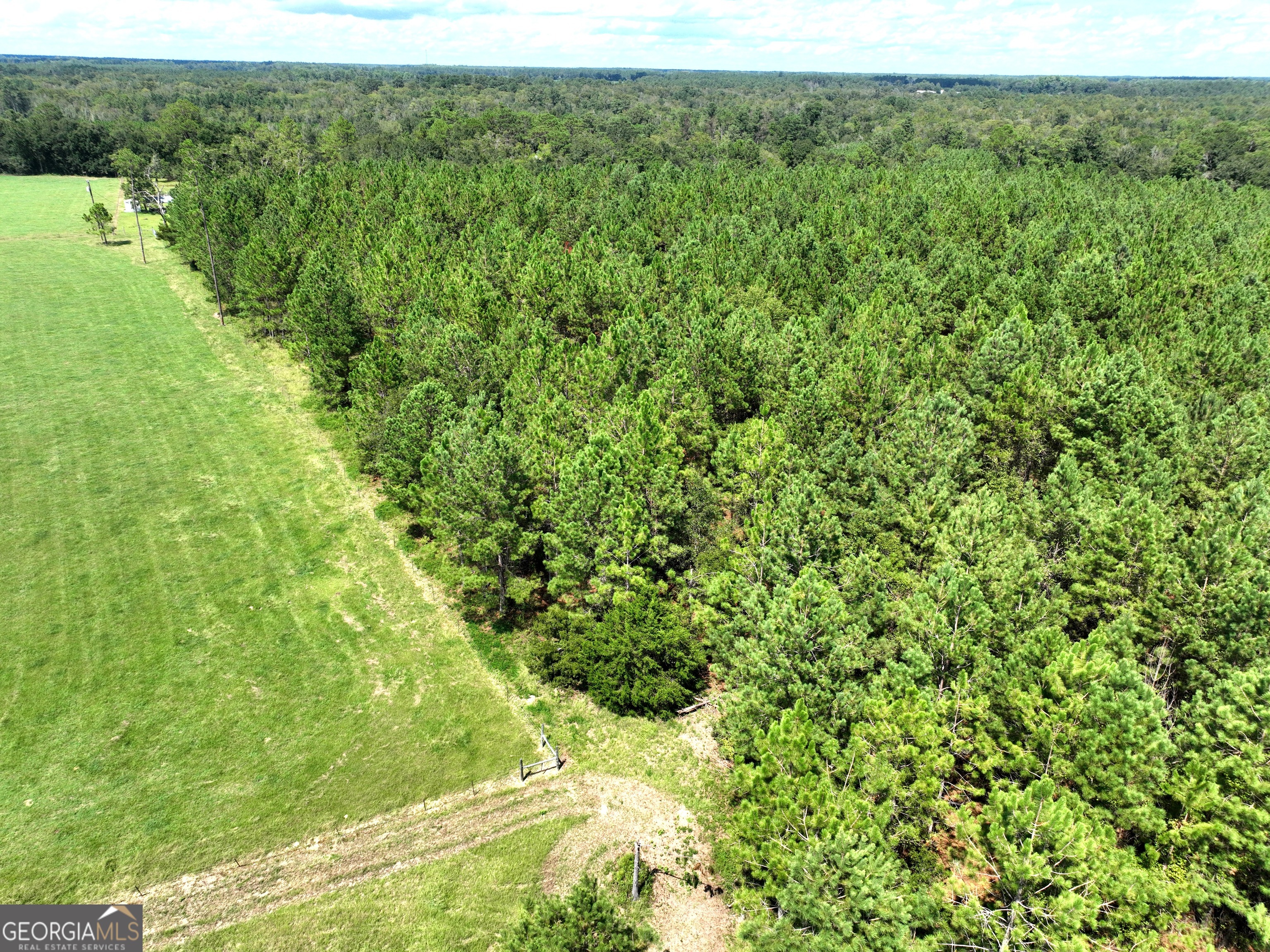 0 Crump Road Bristol, GA 31518 - Photo 12 of 21 a view of a yard with a tree