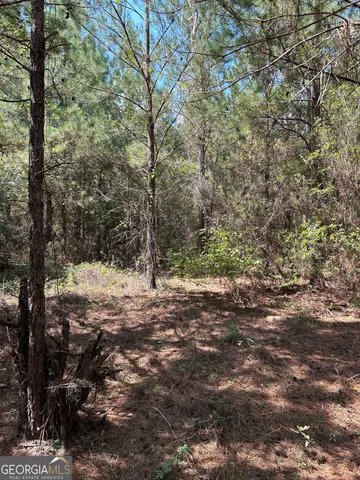 a view of a yard with a tree
