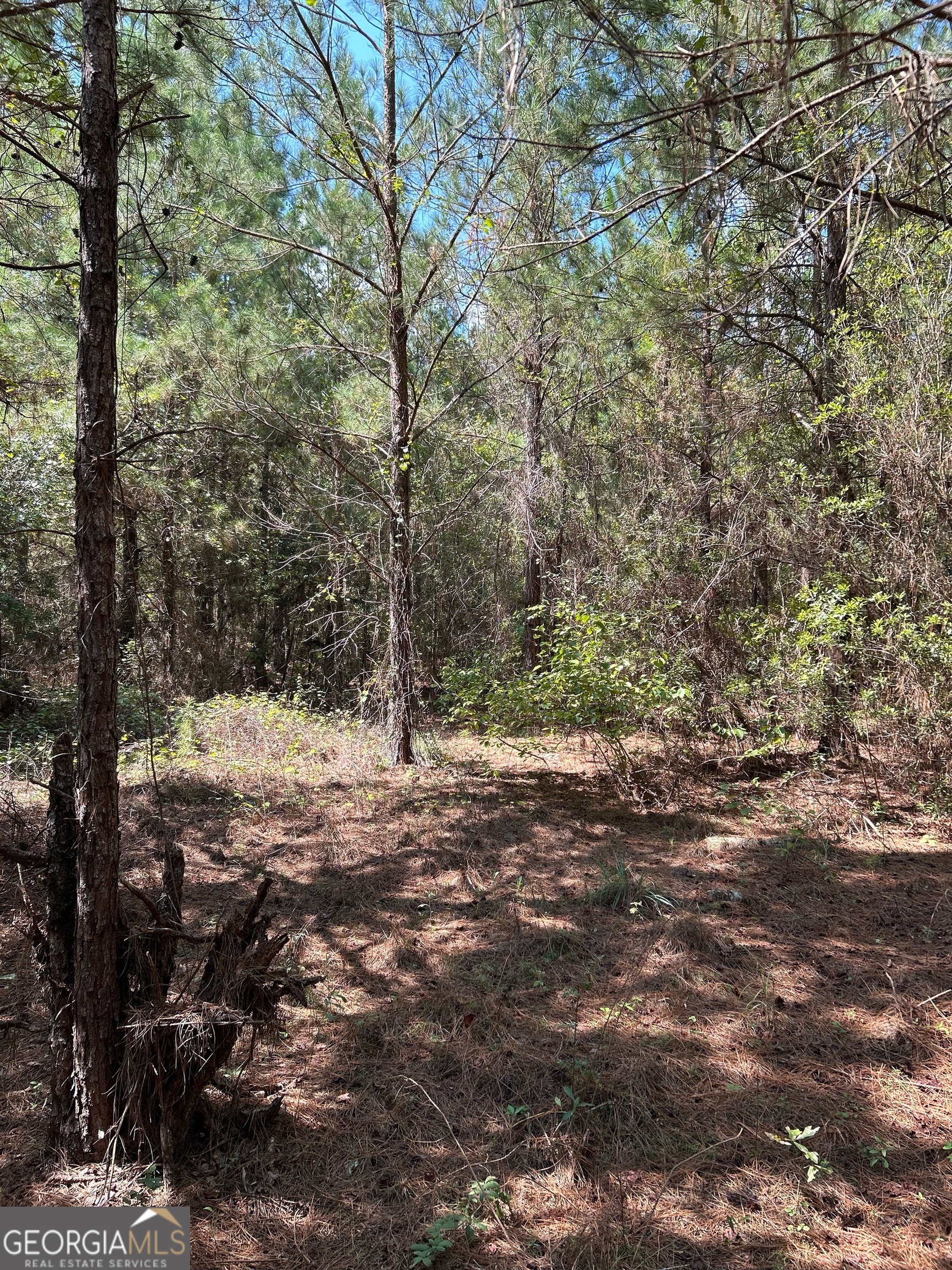 0 Crump Road Bristol, GA 31518 - Photo 14 of 21 a view of a yard with a tree