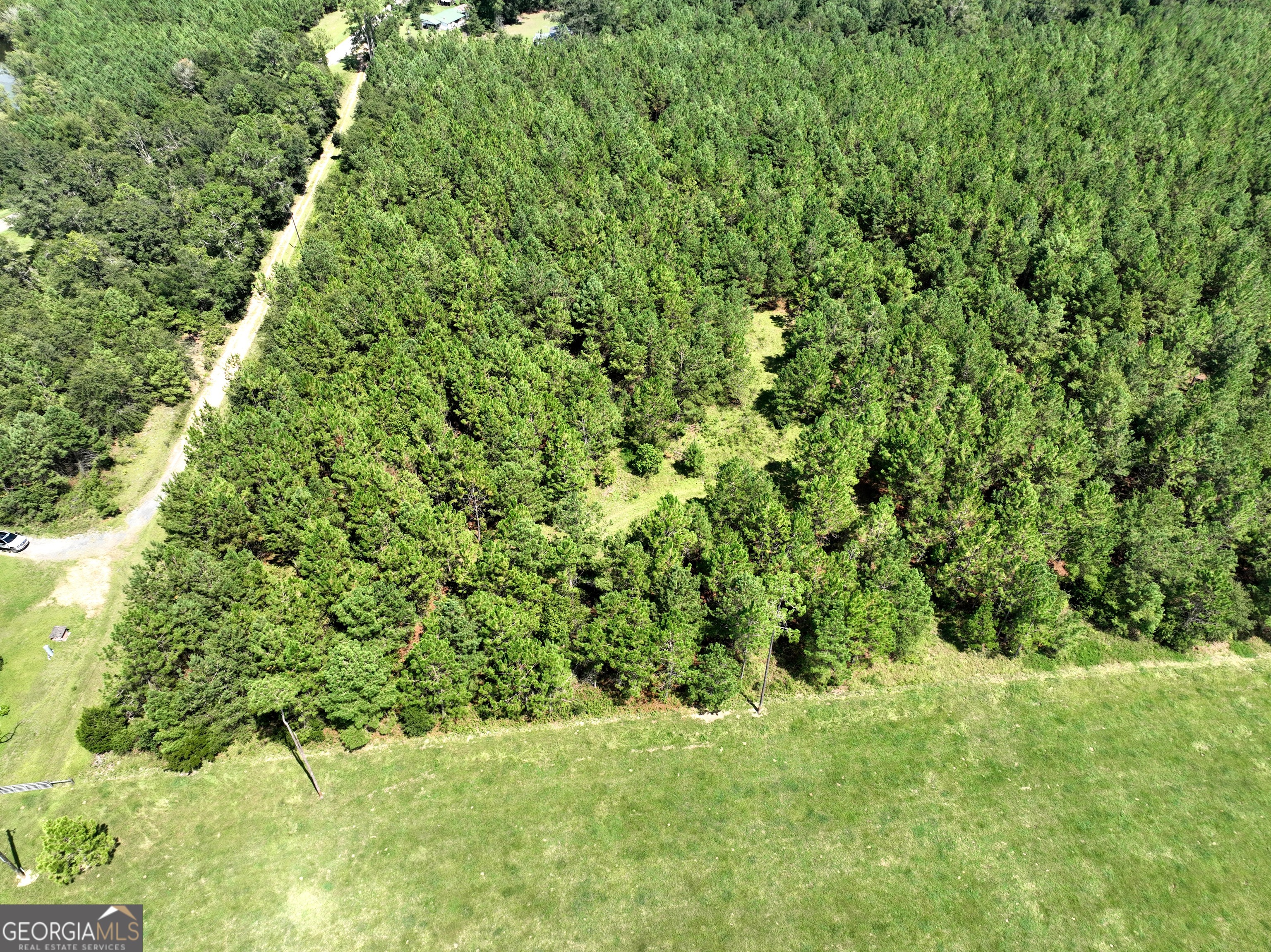 0 Crump Road Bristol, GA 31518 - Photo 15 of 21 a view of a yard