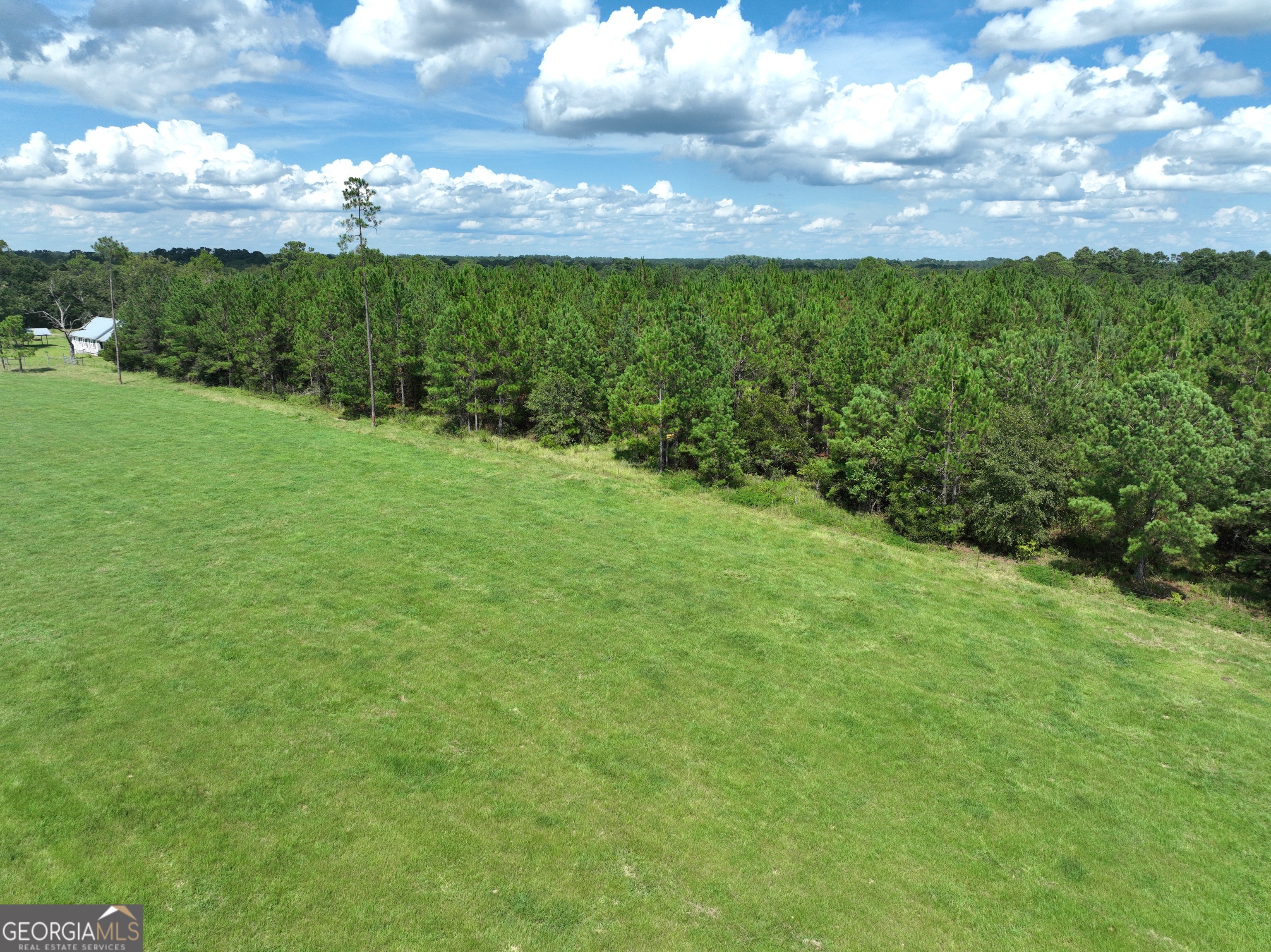 0 Crump Road Bristol, GA 31518 - Photo 16 of 21 a view of a big yard with large trees