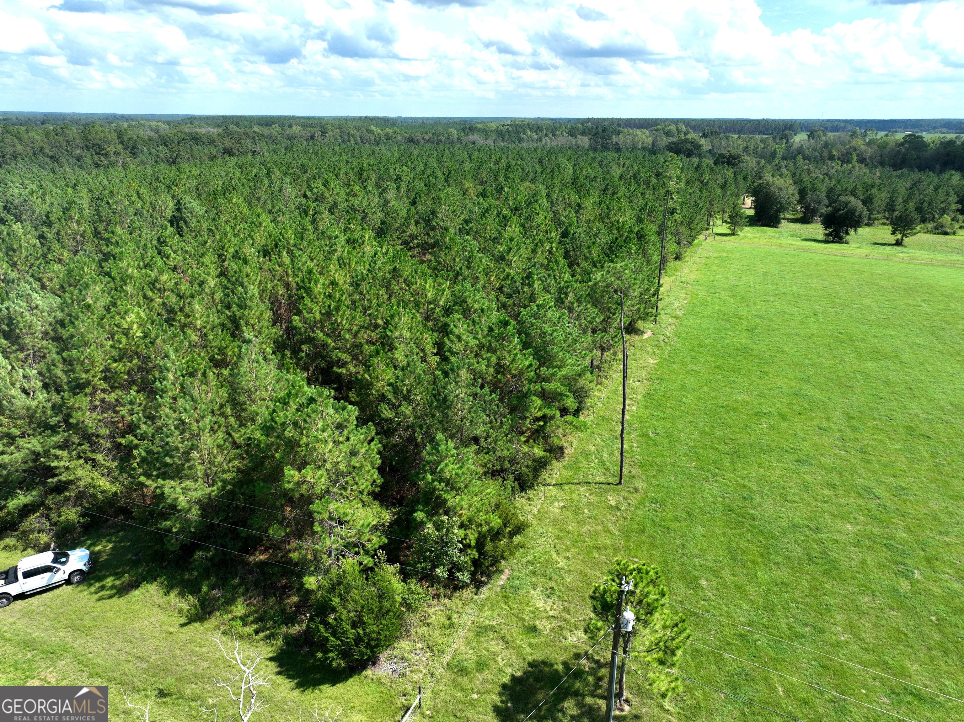 0 Crump Road Bristol, GA 31518 - Photo 17 of 21 a view of a green yard with large trees