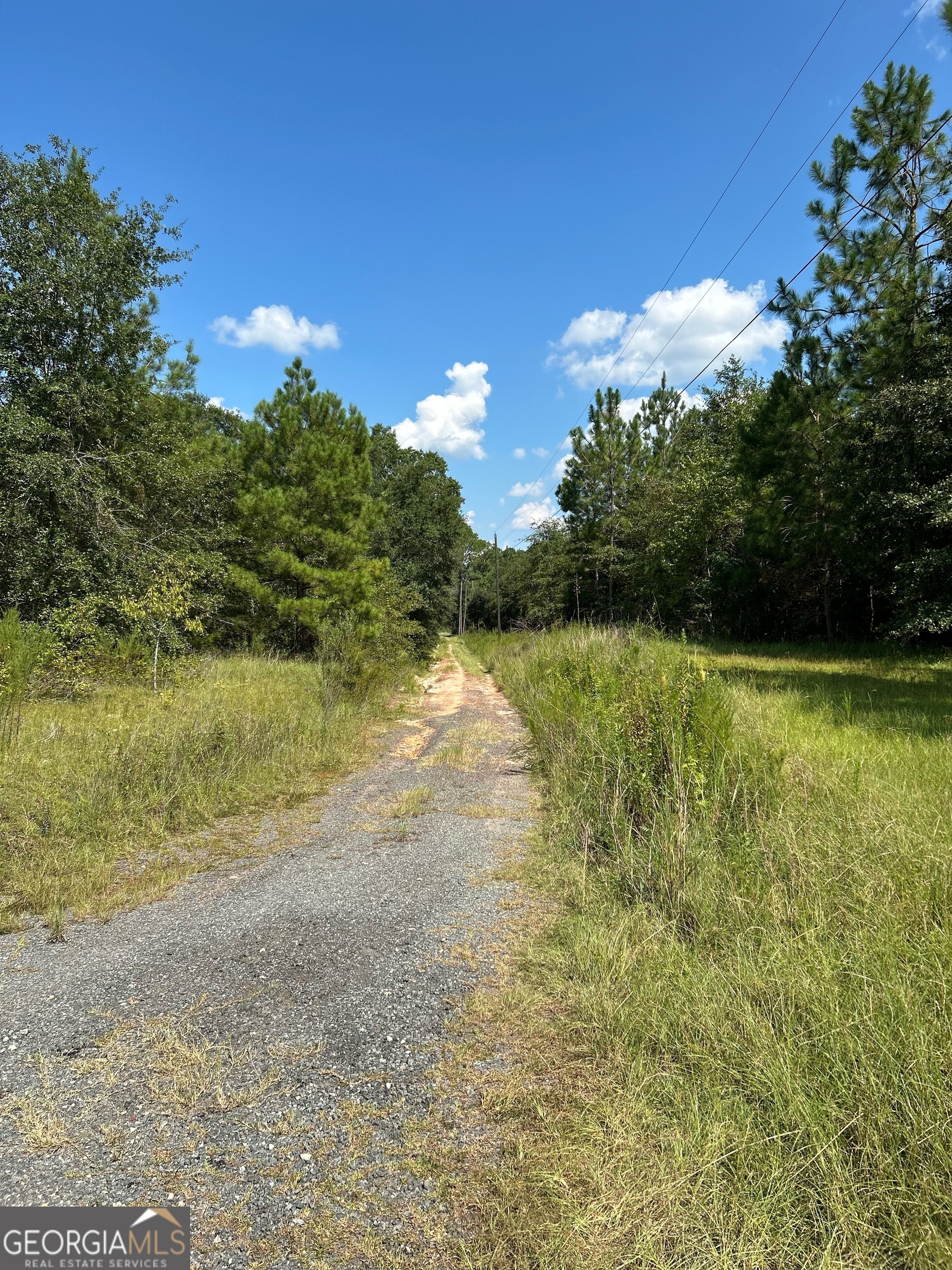 0 Crump Road Bristol, GA 31518 - Photo 19 of 21 a view of a lake view with a beach