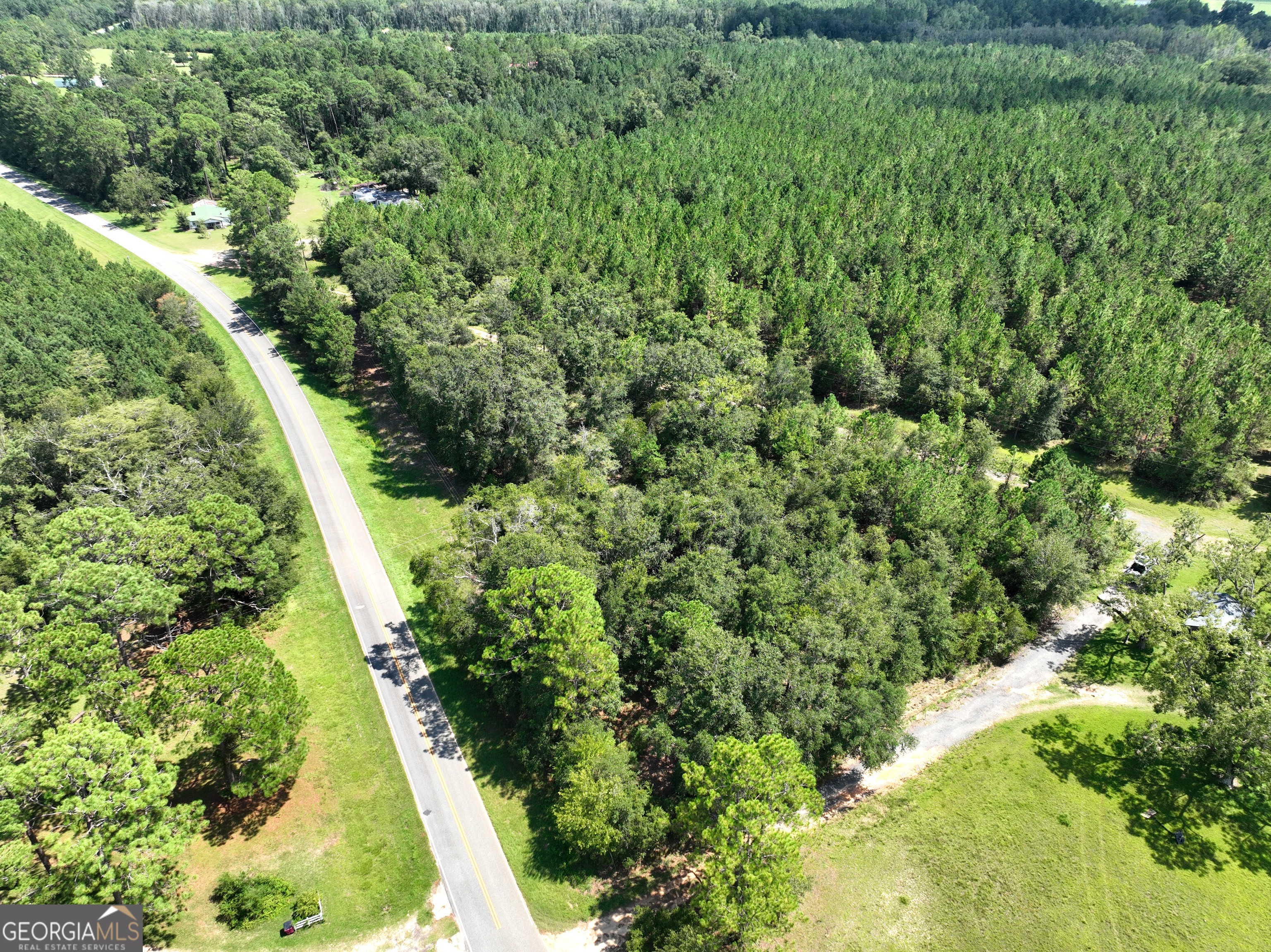 0 Crump Road Bristol, GA 31518 - Photo 2 of 21 a view of a garden