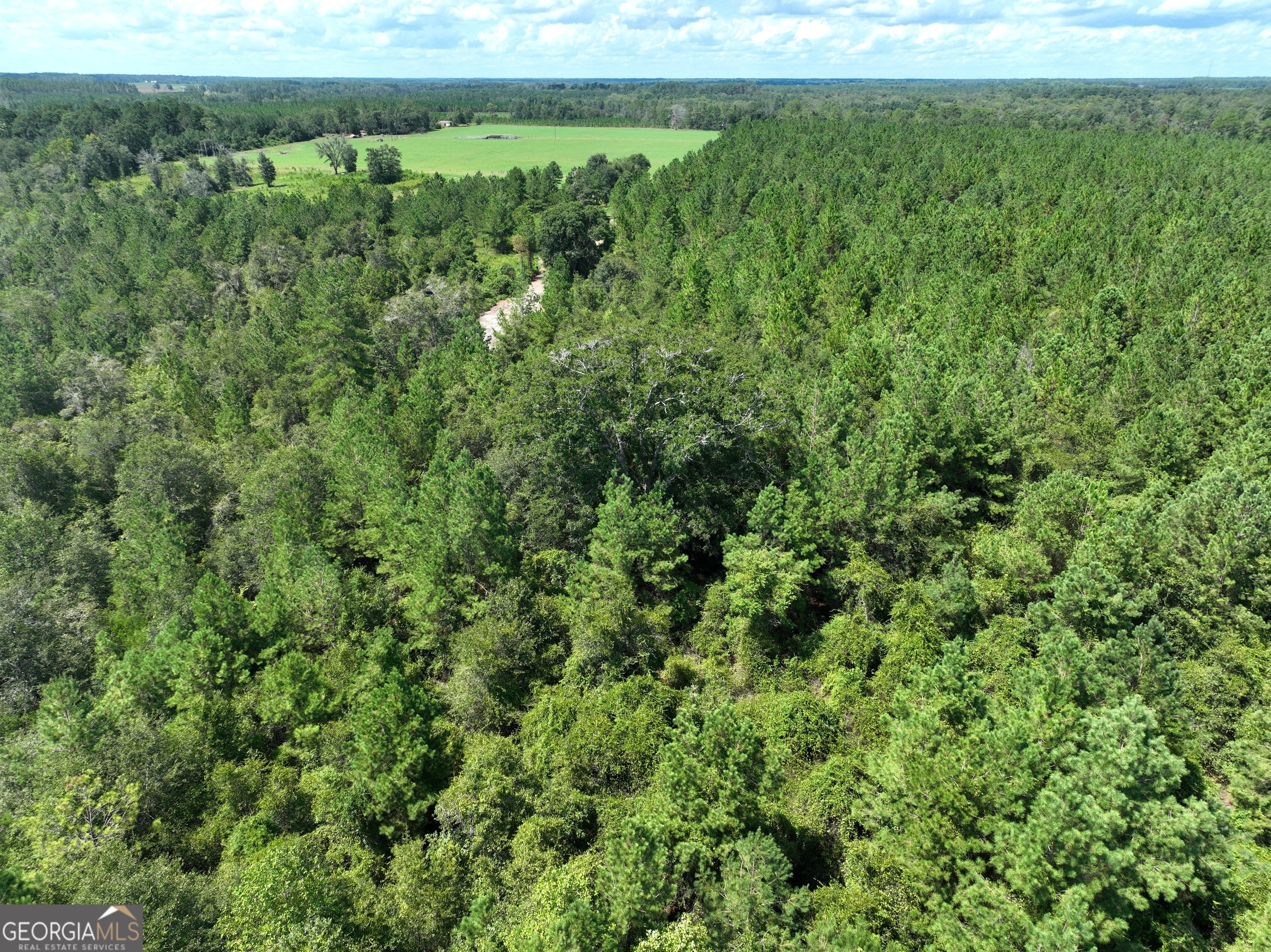 0 Crump Road Bristol, GA 31518 - Photo 21 of 21