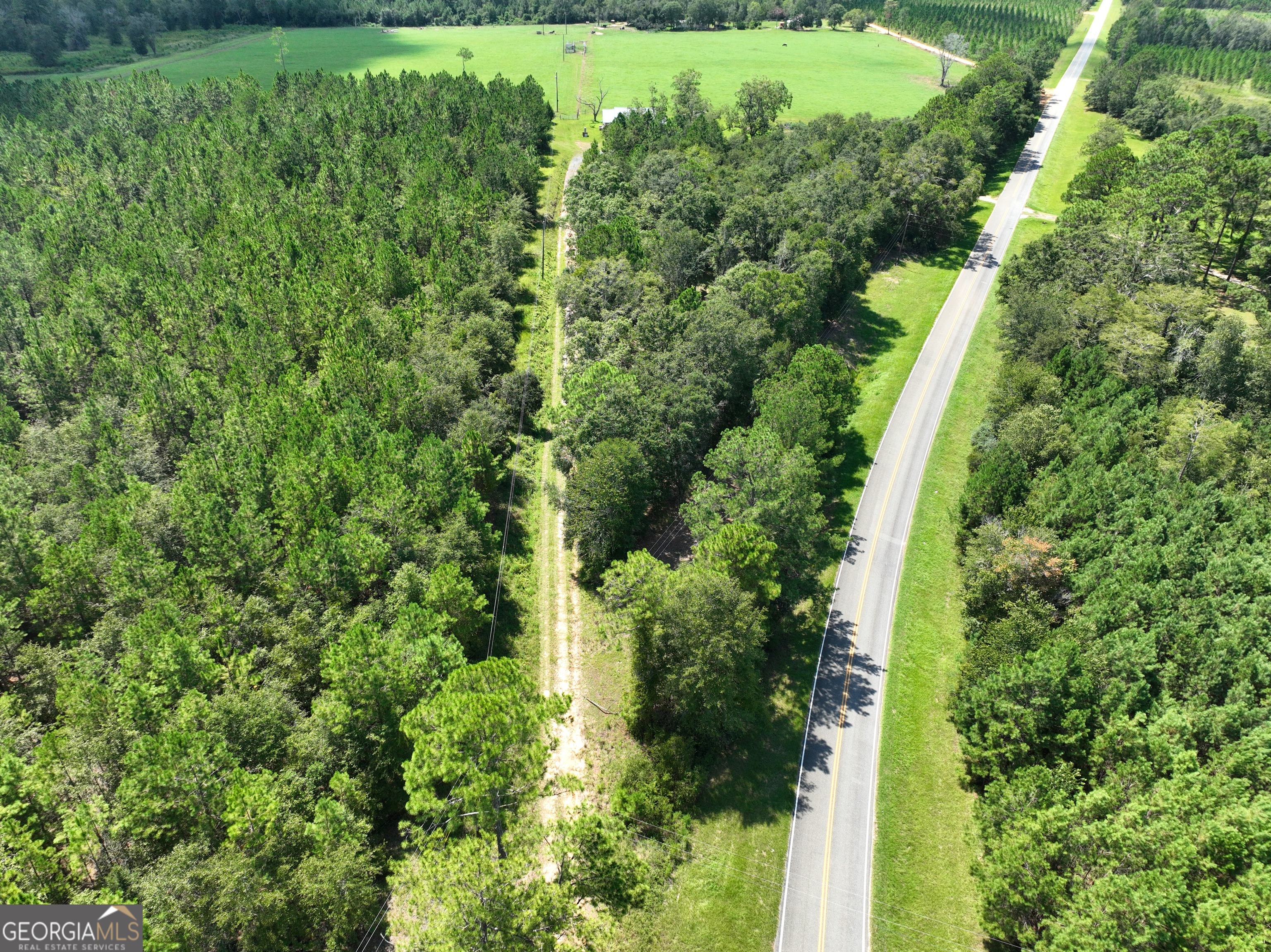 0 Crump Road Bristol, GA 31518 - Photo 3 of 21 an aerial view of residential house with outdoor space and trees all around