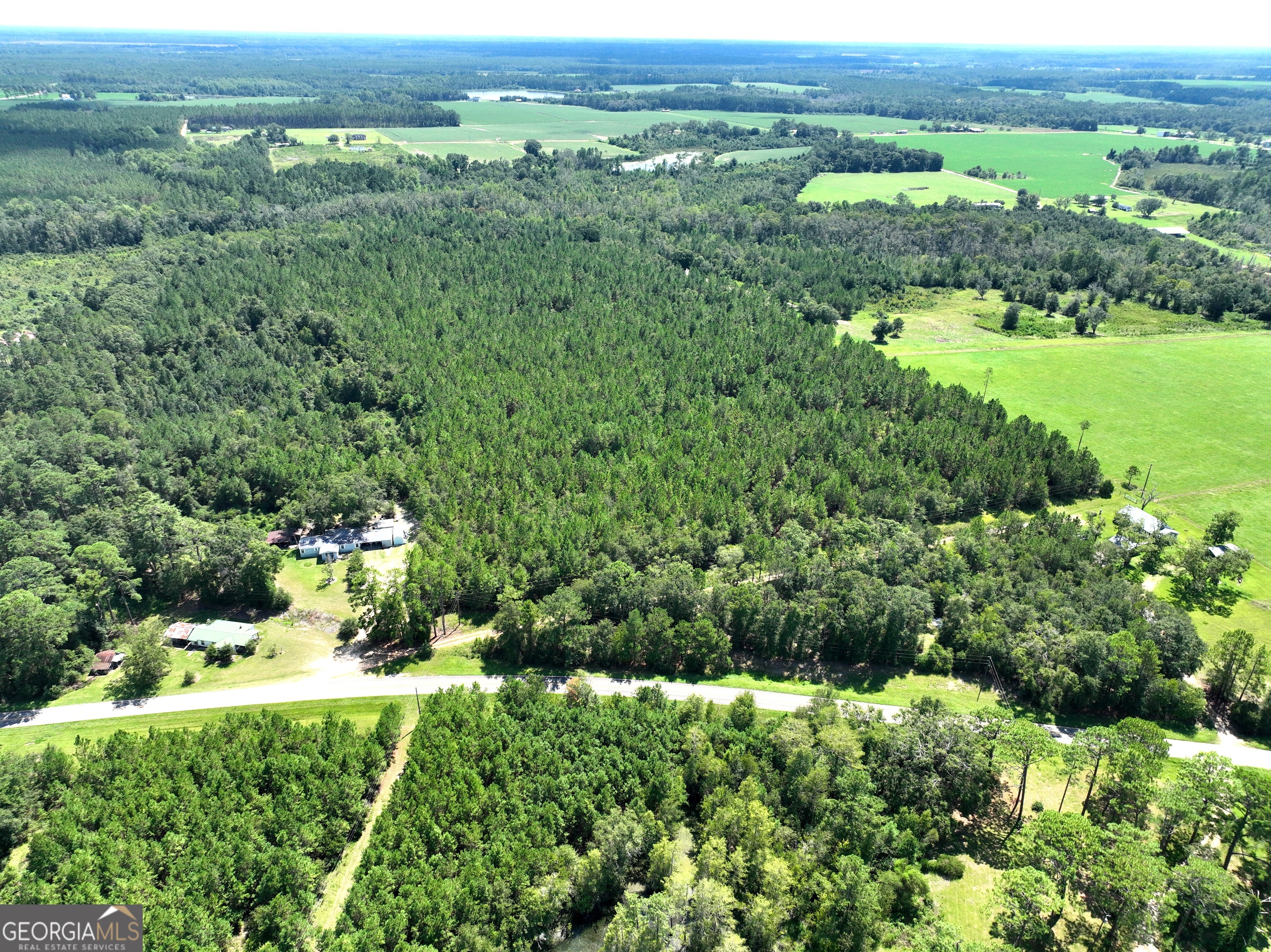 0 Crump Road Bristol, GA 31518 - Photo 4 of 21 an aerial view of a houses with a yard