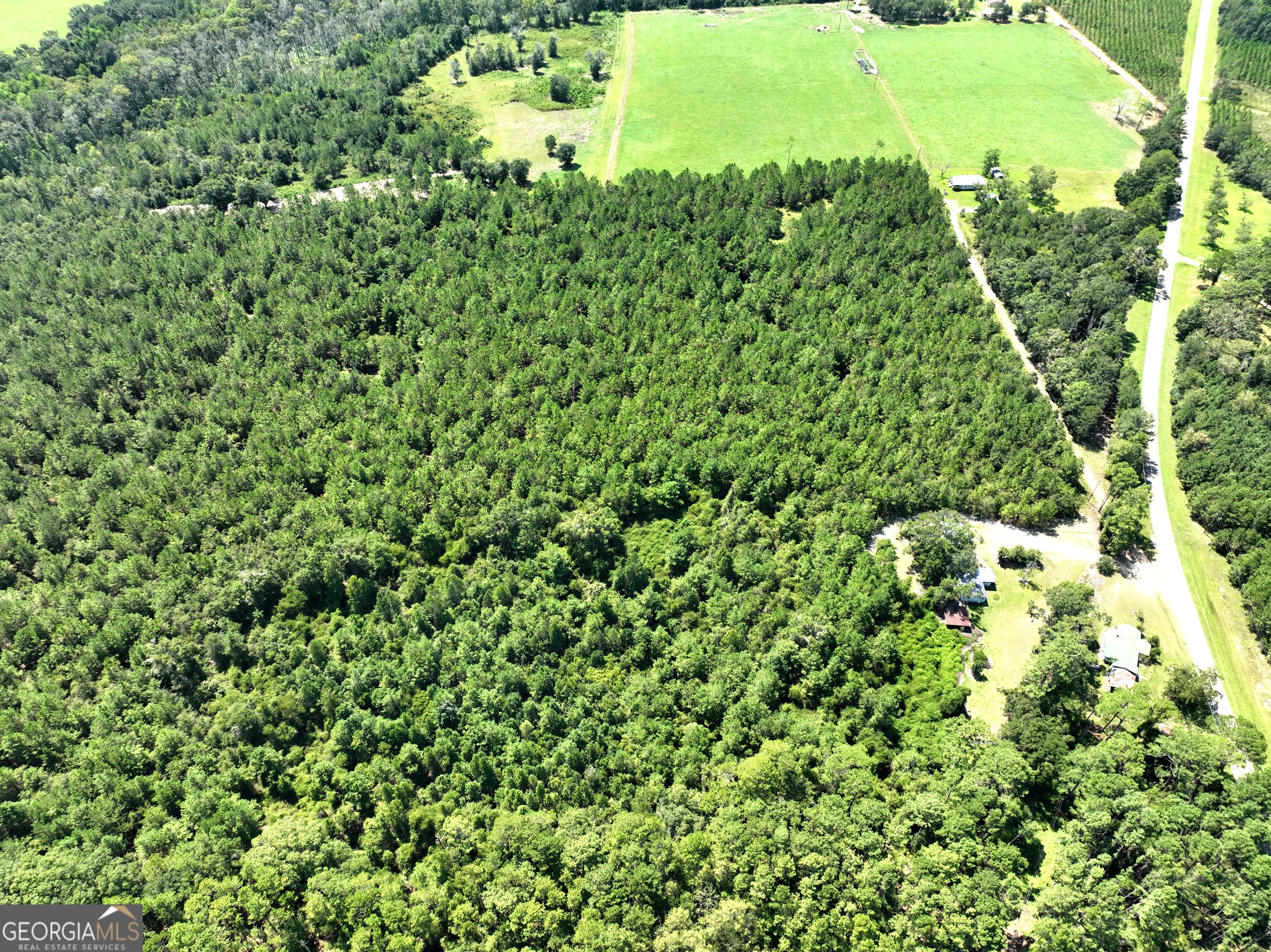 0 Crump Road Bristol, GA 31518 - Photo 5 of 21 a view of a garden