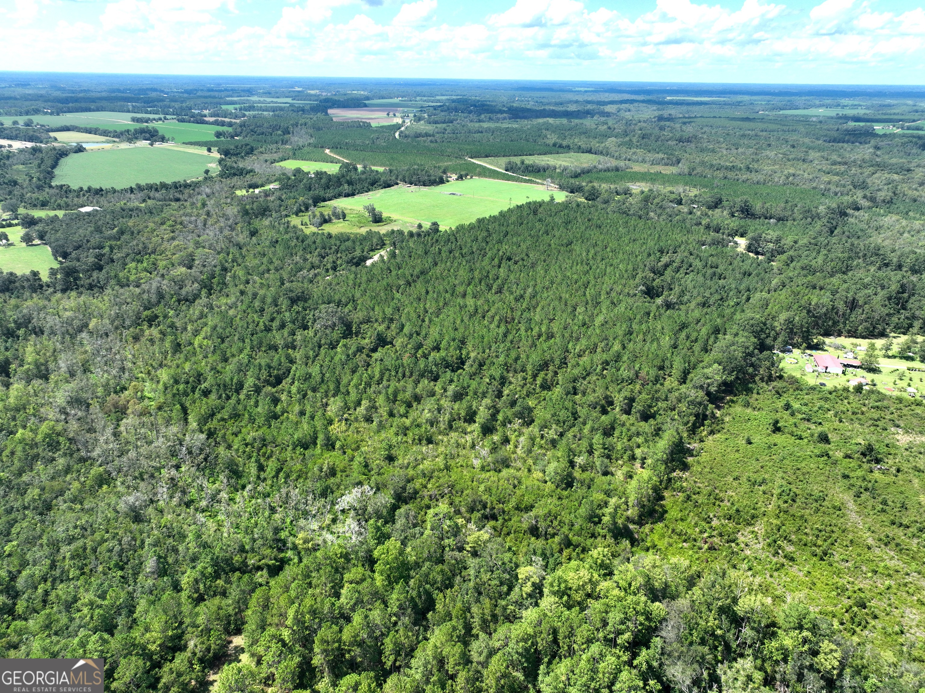 0 Crump Road Bristol, GA 31518 - Photo 6 of 21 a view of an ocean and a yard