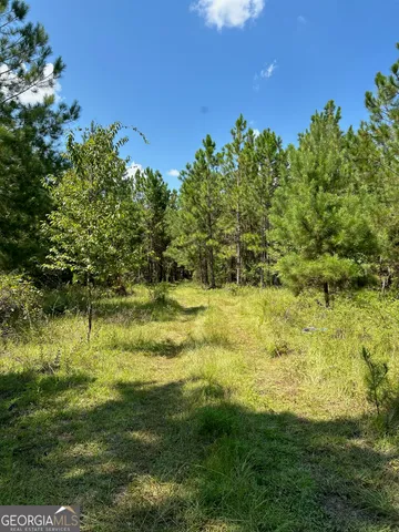 a view of yard with green space
