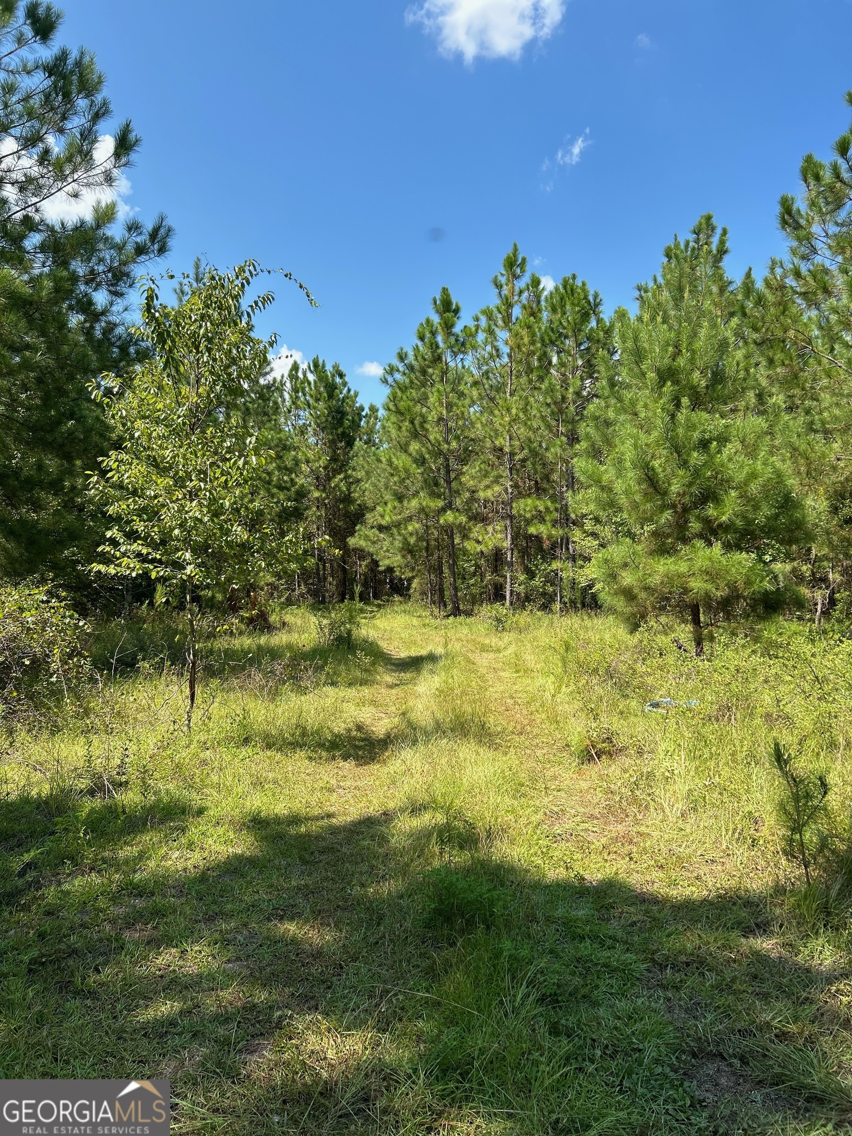 0 Crump Road Bristol, GA 31518 - Photo 7 of 21 a view of yard with green space