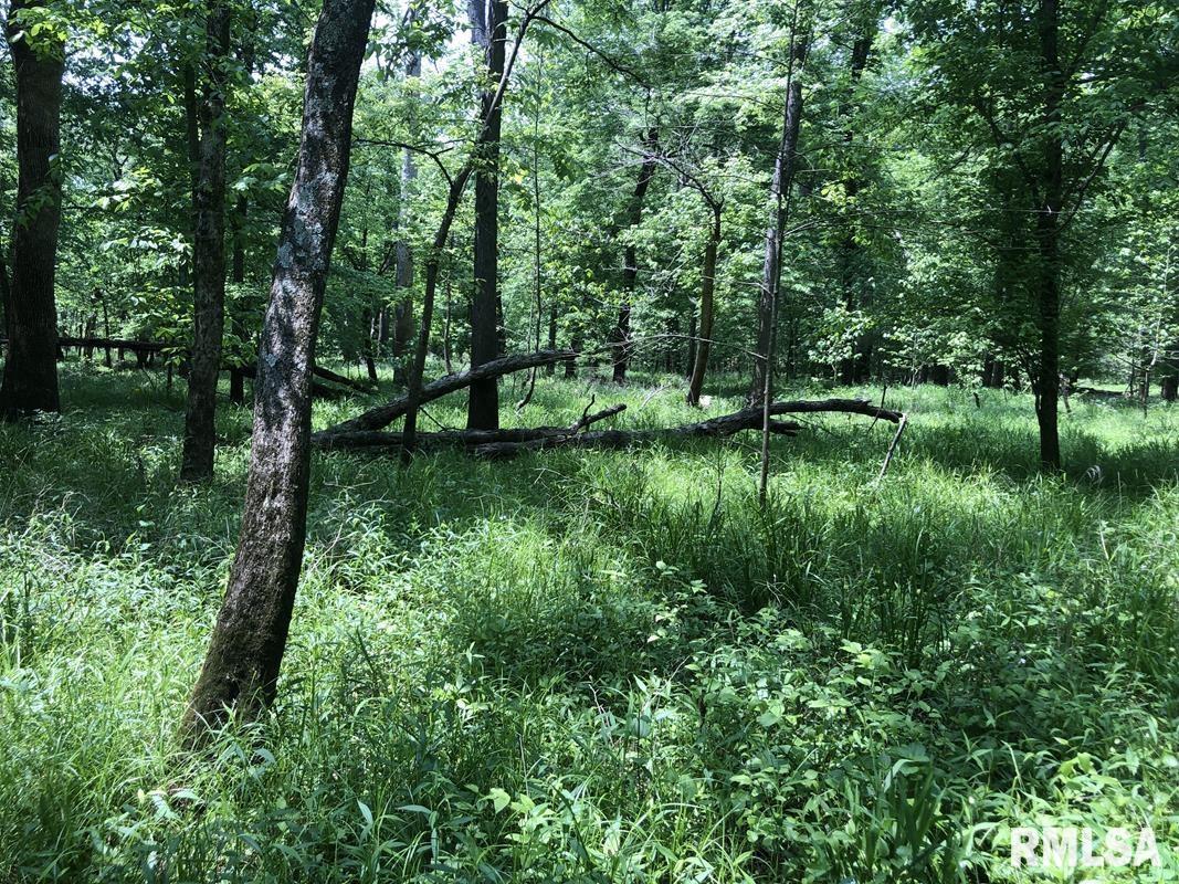0 Blacklock Road Vergennes, IL 62994 - Photo 8 of 13