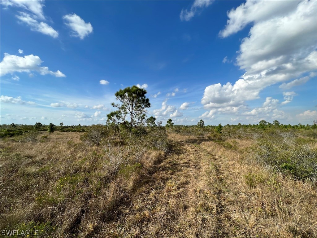 49165 Bermont Road Punta Gorda, FL 33982 - Photo 2 of 13 Gallery Image 2