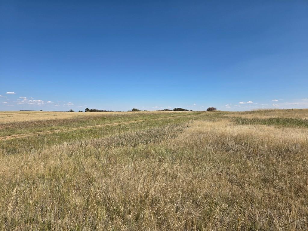Undisclosed Address Rye, CO 81069 - Photo 4 of 9