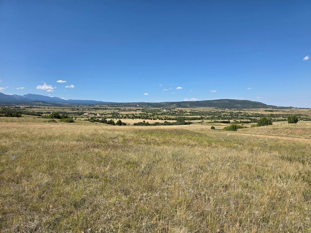 Undisclosed Address Rye, CO 81069 - Photo 7 of 9