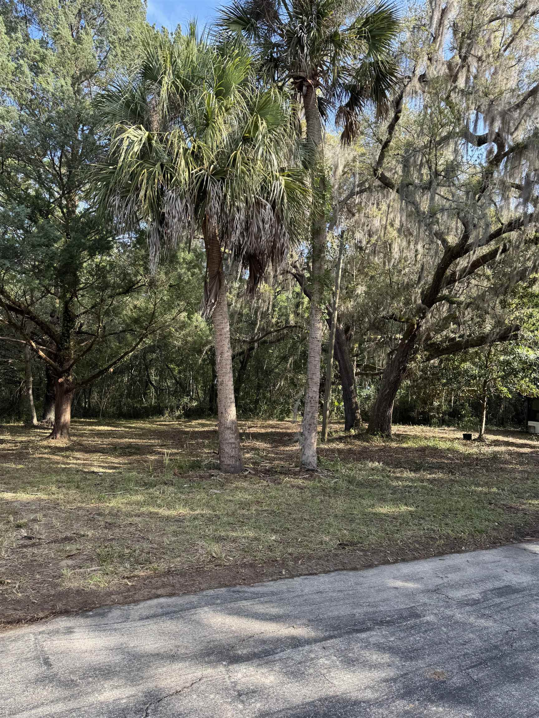 608 Coral Farms Road Florahome, FL 32140 - Photo 17 of 20 a backyard of a house with lots of trees