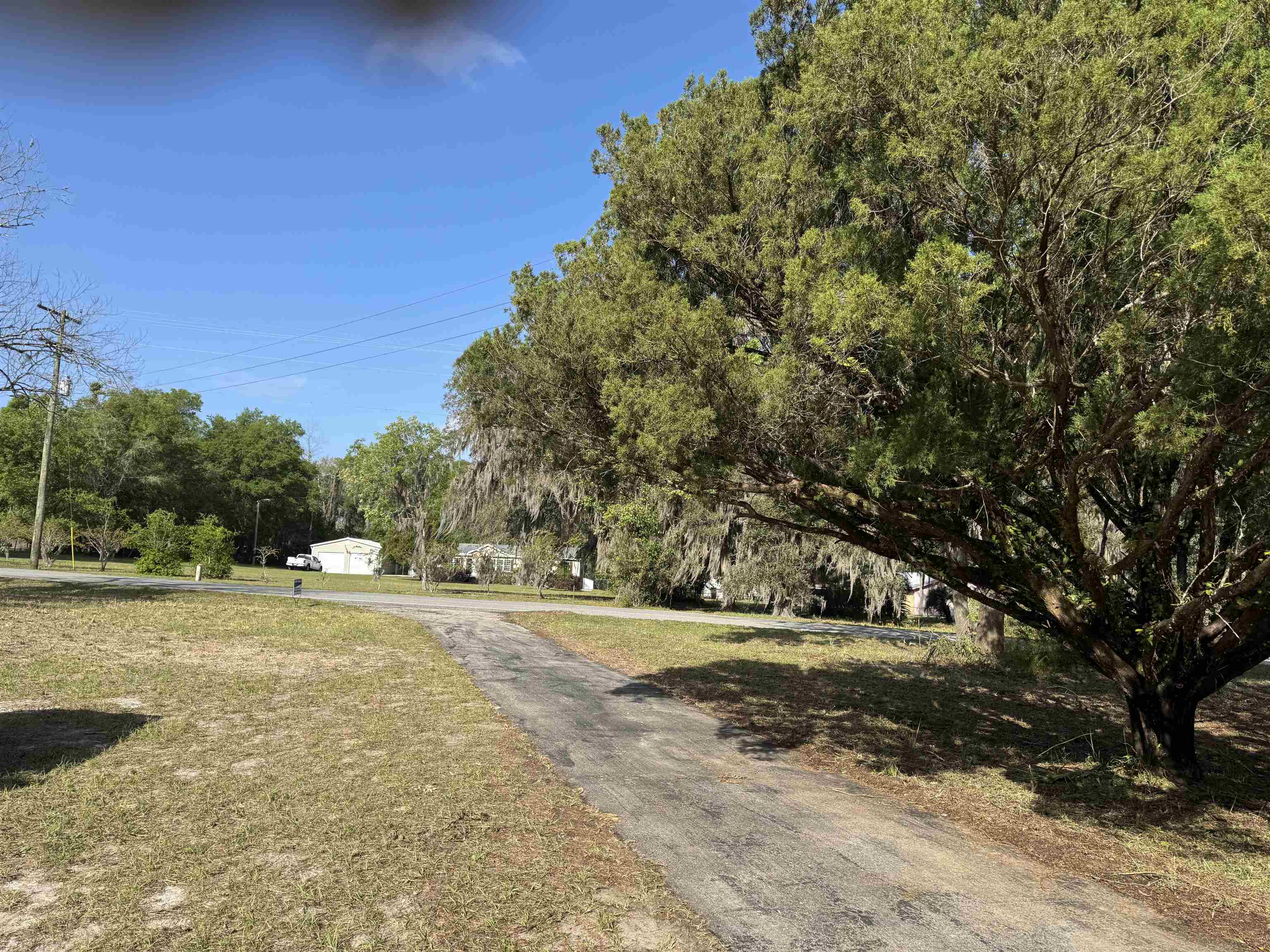 608 Coral Farms Road Florahome, FL 32140 - Photo 2 of 20 a view of a field with trees in the background