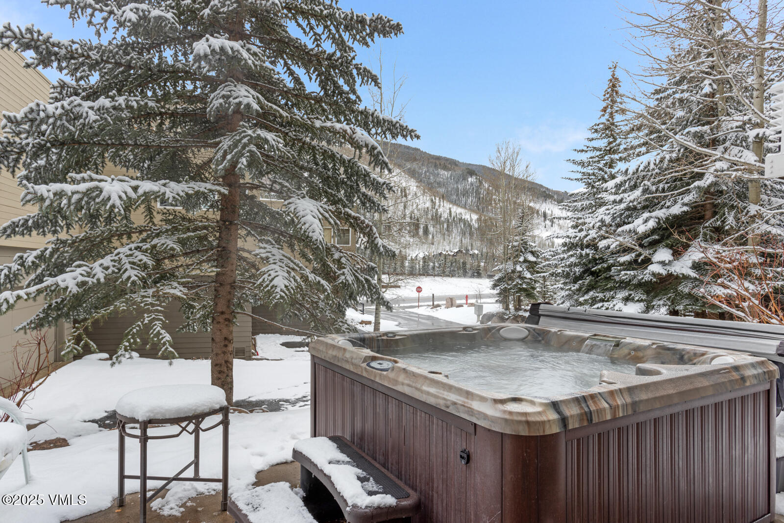 1230 Lions Ridge Loop, Unit 2D Vail, CO 81657 - Photo 11 of 42 a view of backyard with wooden fence