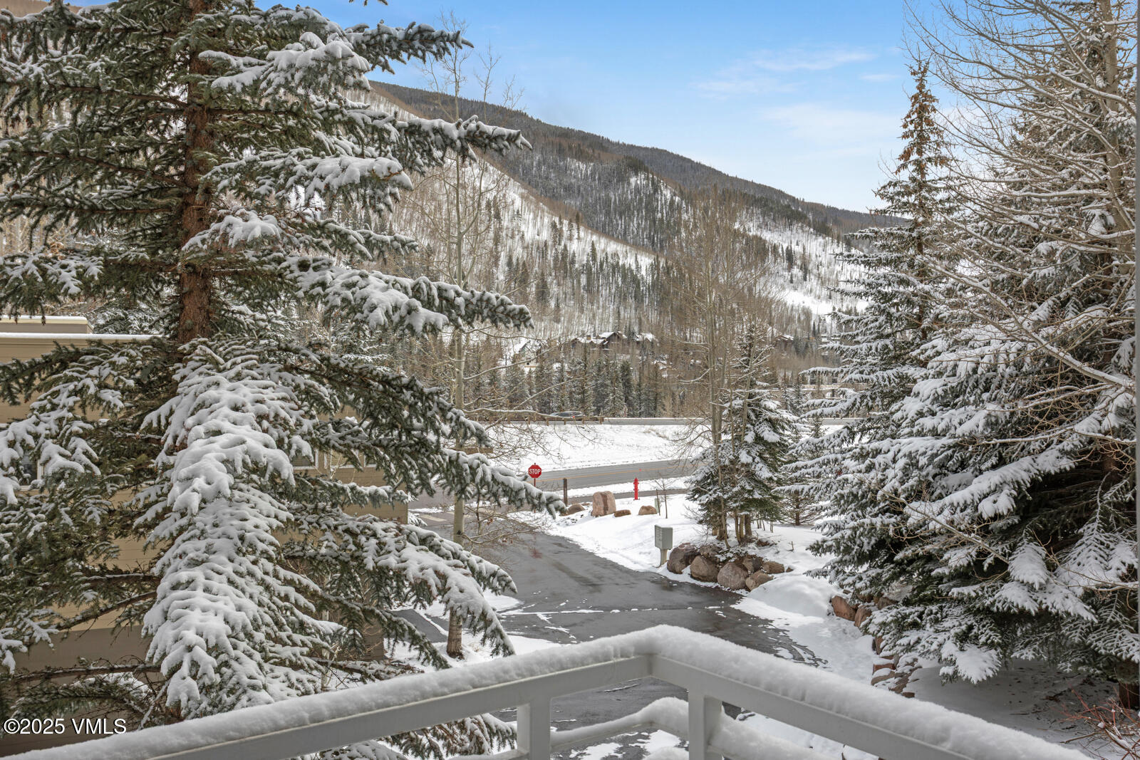 1230 Lions Ridge Loop, Unit 2D Vail, CO 81657 - Photo 13 of 42 a view of a wooden bridge