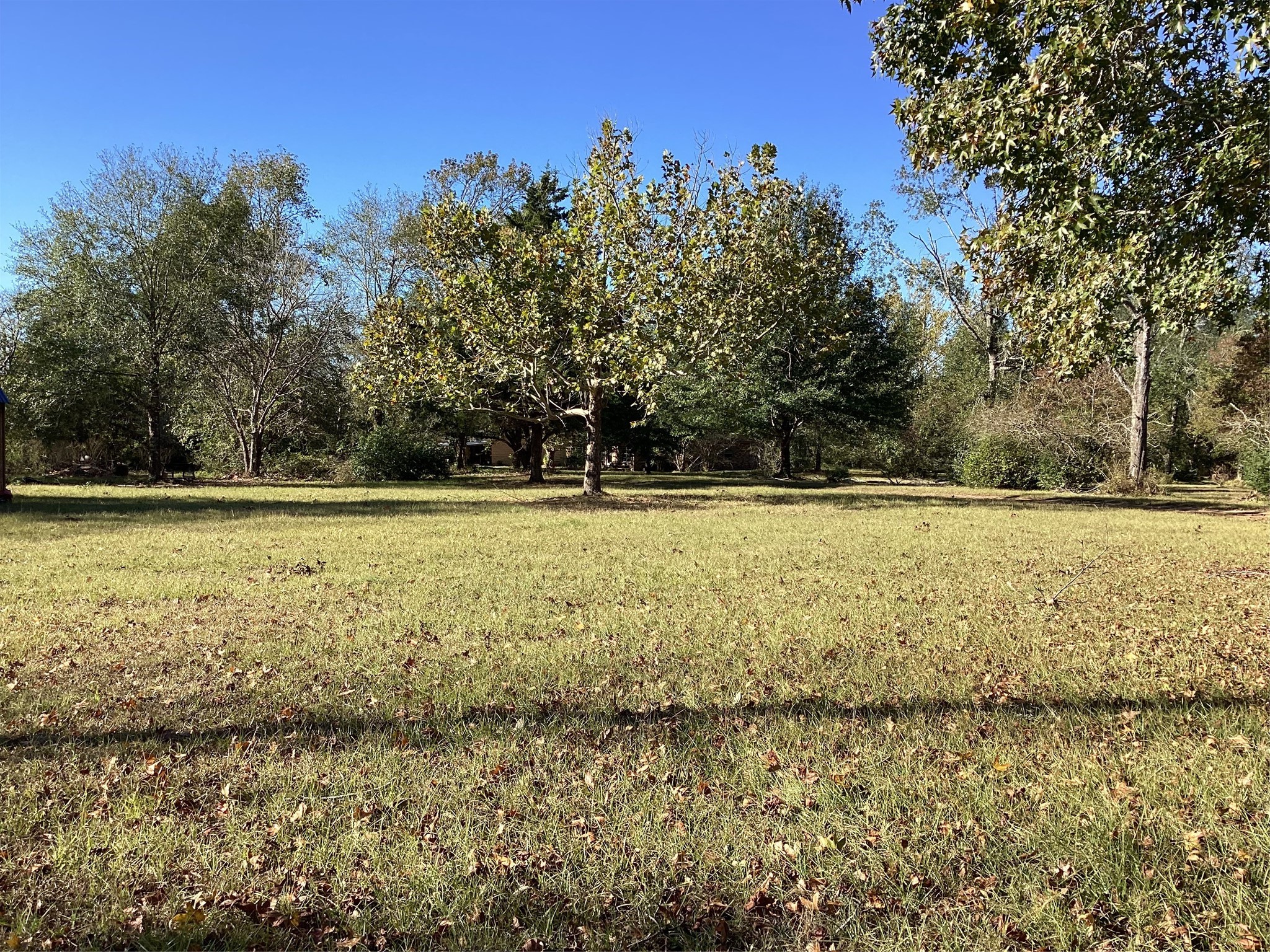 2001 Alsobrooks Road Cleveland, TX 77328 - Photo 7 of 14