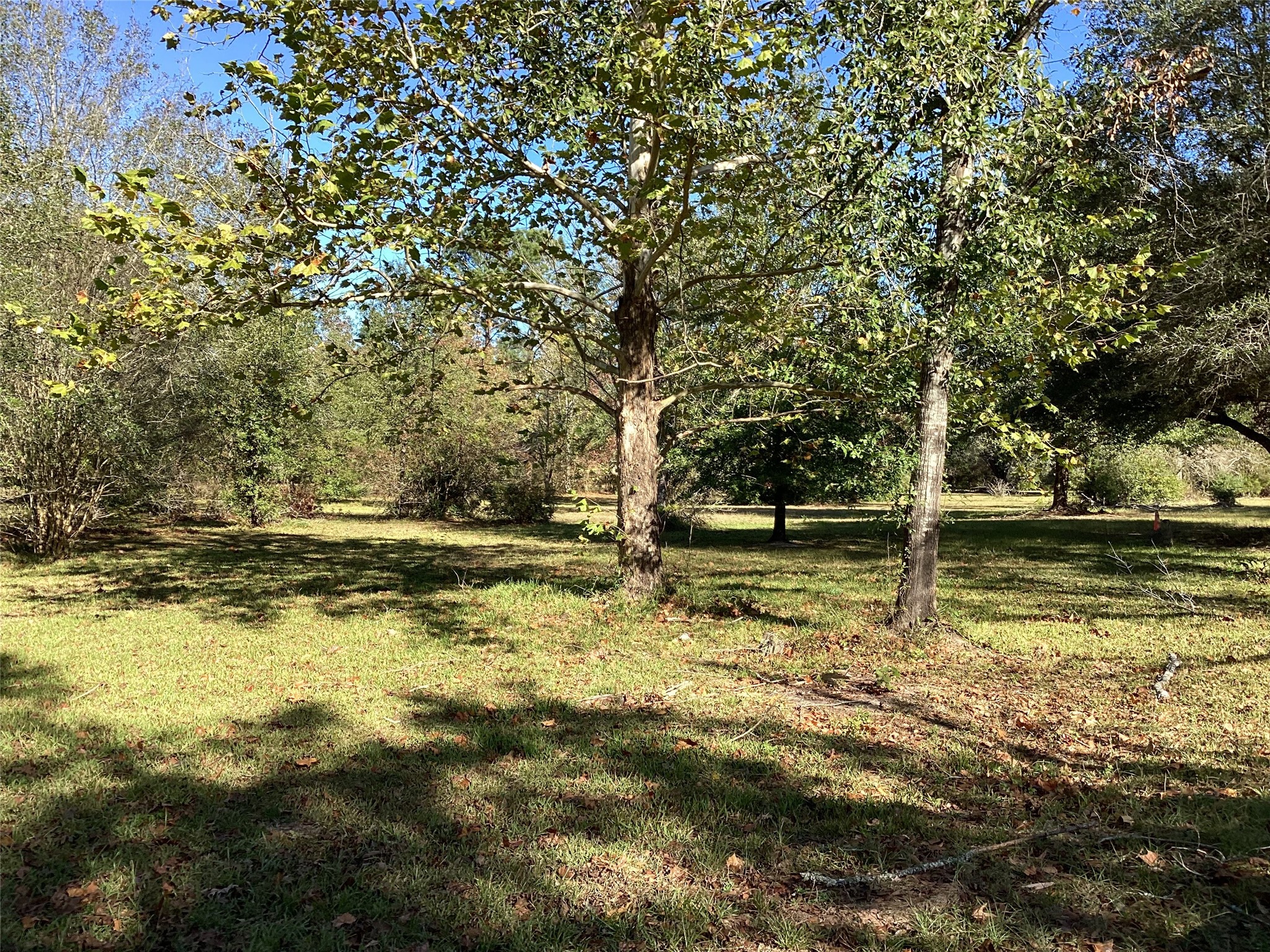 2001 Alsobrooks Road Cleveland, TX 77328 - Photo 9 of 14