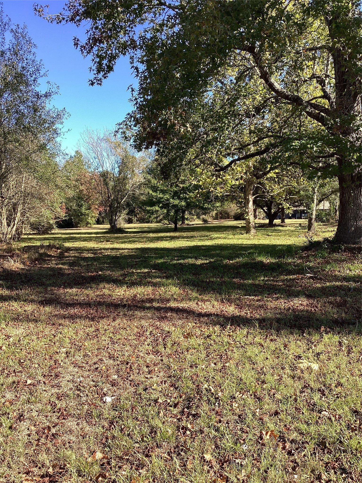 2001 Alsobrooks Road Cleveland, TX 77328 - Photo 10 of 14