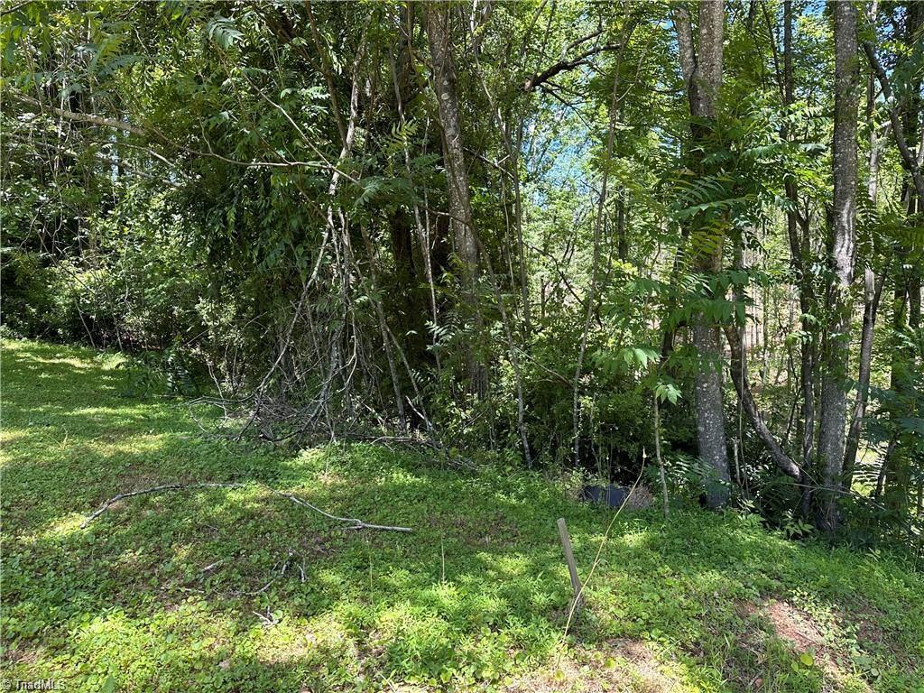 Tbd South Recreation Road Wilkesboro, NC 28697 - Photo 14 of 21